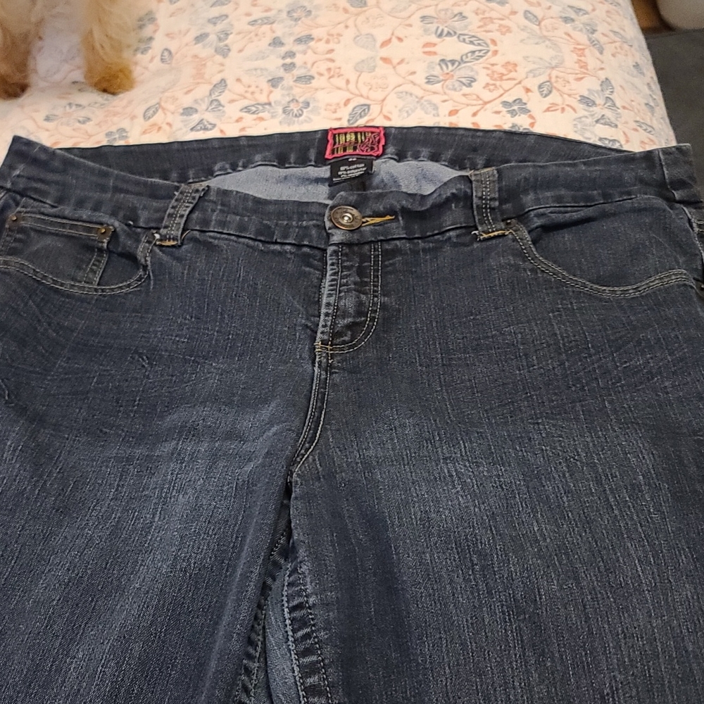 Torrid Jeans